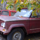 Illustration for article titled Meet The Jeep Hoarder Who Saves Precious History From Rusty Oblivion